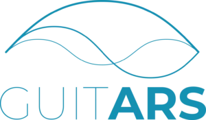 Logo GuitArs Erasmus Project